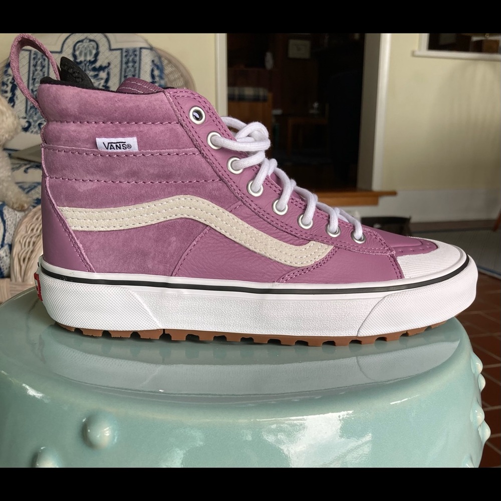 Sk8-Hi Mte 2.0 Dx